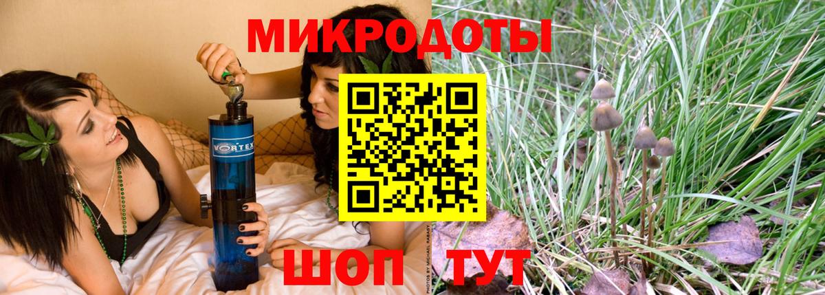 Саратов  Псилоцибиновые грибы MAGIC MUSHROOMS  Галлюциногенные грибы Psilocybine cubensis  Вход с VPN 