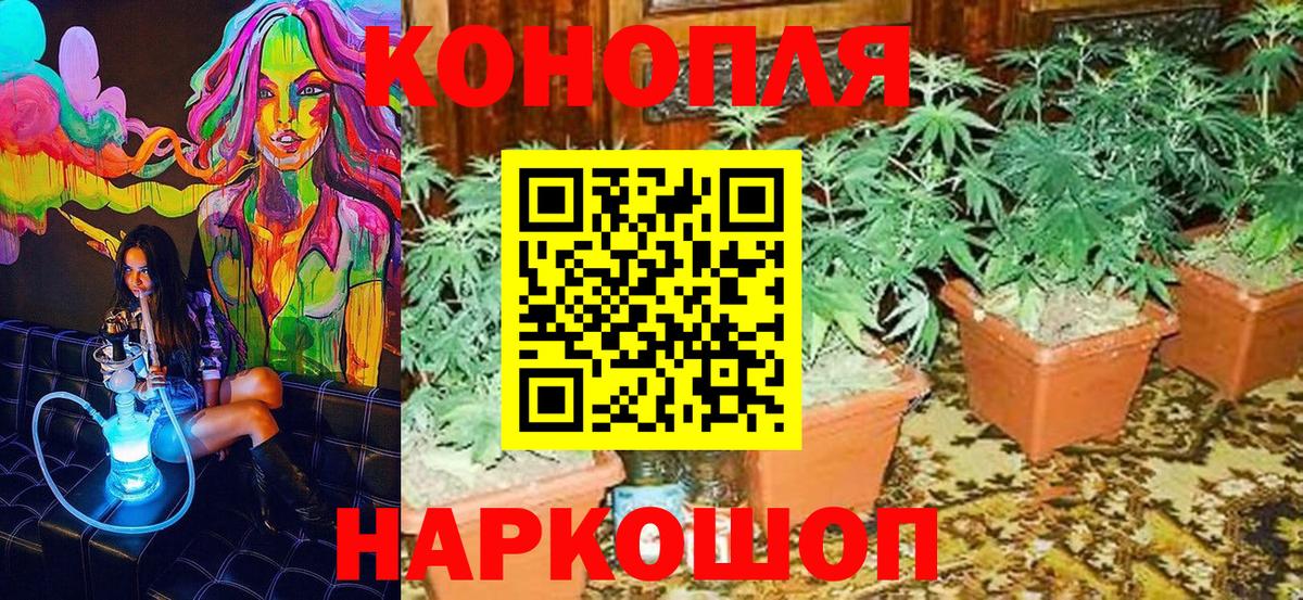 Конопля конопля  Вход с VPN  Саратов  Каннабис LSD WEED  Бошки марихуана VHQ 